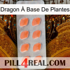 Dragon À Base De Plantes 26